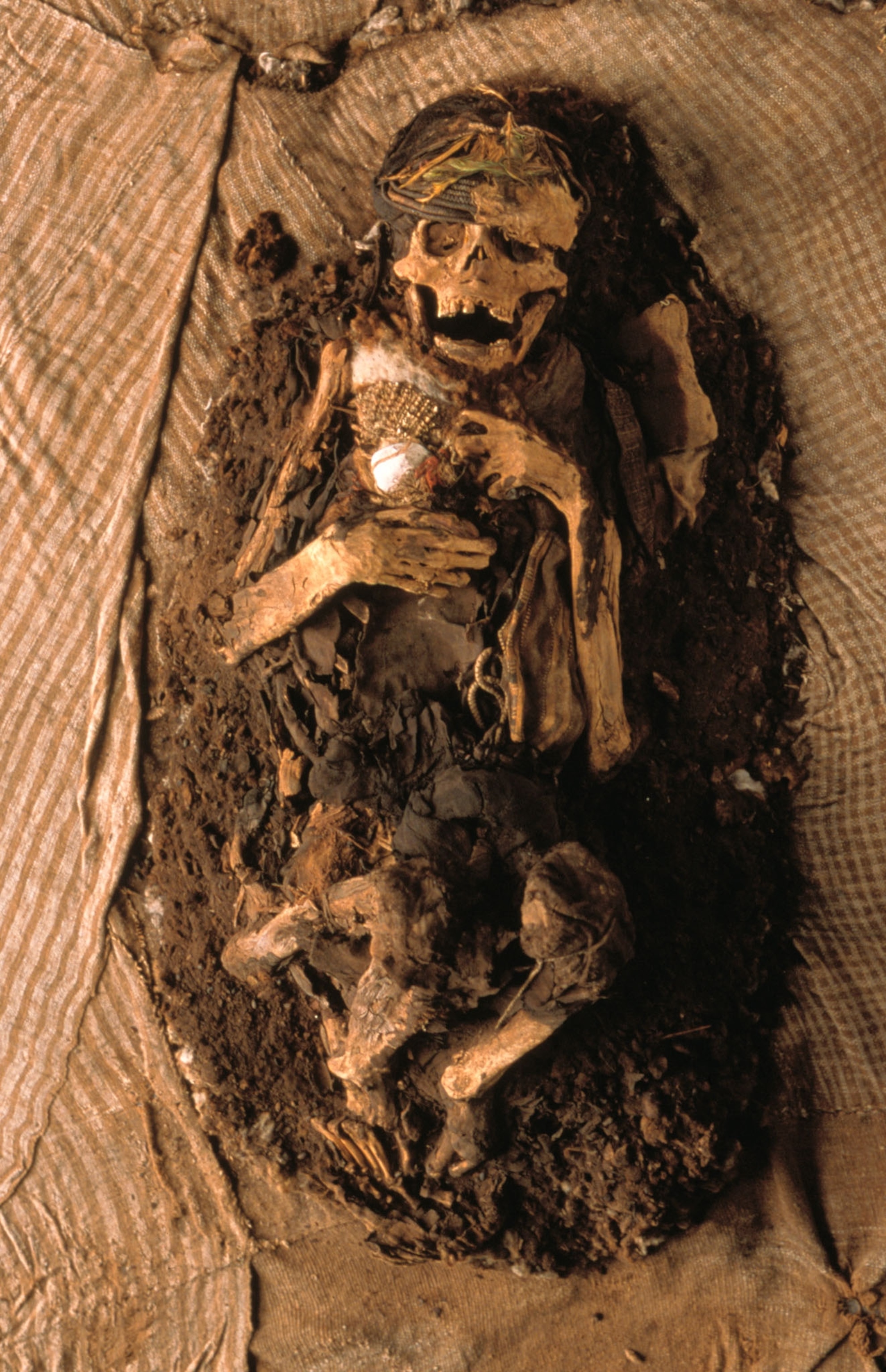 an incan mummy
